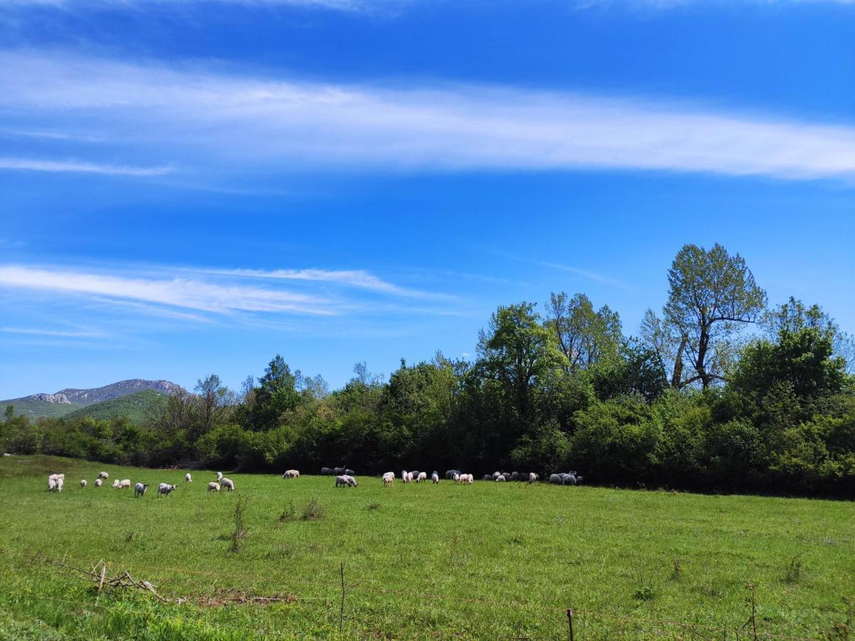 Velebit Lodge Lovinac  Luaran gambar
