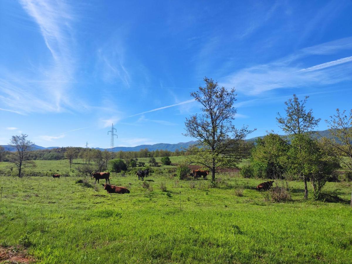 Velebit Lodge Lovinac  Luaran gambar